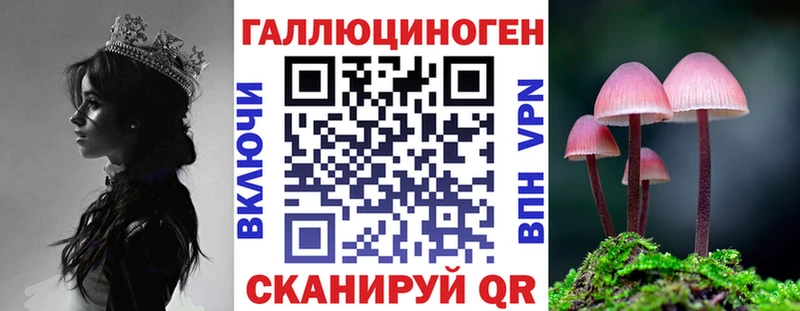 Галлюциногенные грибы GOLDEN TEACHER  где продают   Арамиль 